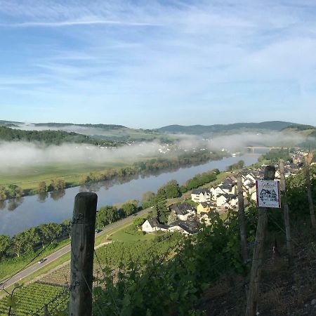 Wein- Und Gaestehaus Genetsch リーザー エクステリア 写真