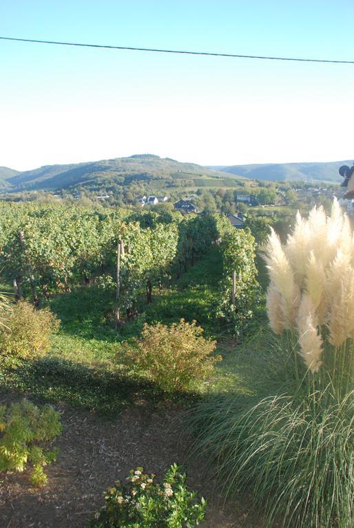 Wein- Und Gaestehaus Genetsch リーザー エクステリア 写真