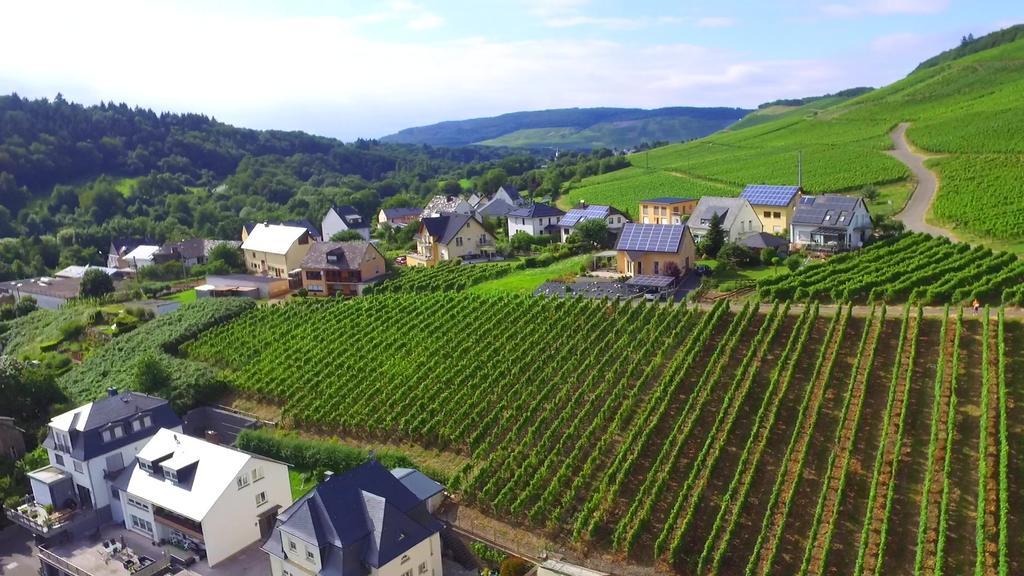 Wein- Und Gaestehaus Genetsch リーザー エクステリア 写真