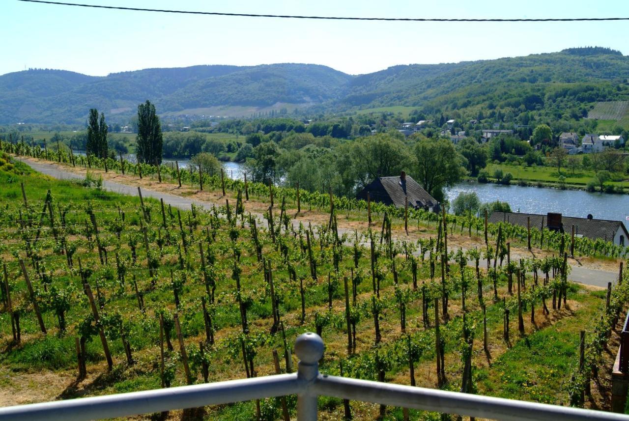 Wein- Und Gaestehaus Genetsch リーザー エクステリア 写真